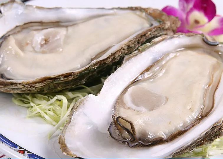 新西兰生蚝泛滥成灾,澳大利亚生蚝泛滥成灾