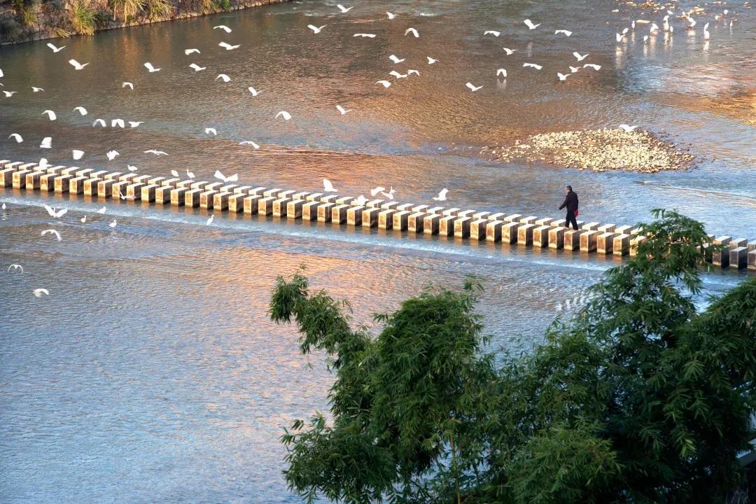 尤溪有闽中明珠之称,尤溪县闽中茶城