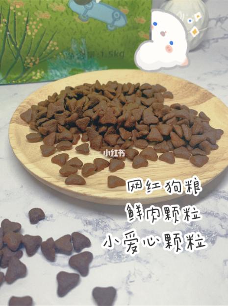 小红书推荐猫粮,猫粮小红书达人