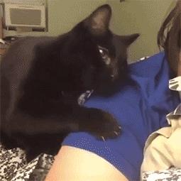 猫抓伤的地方痒,我被猫抓伤了怎么办