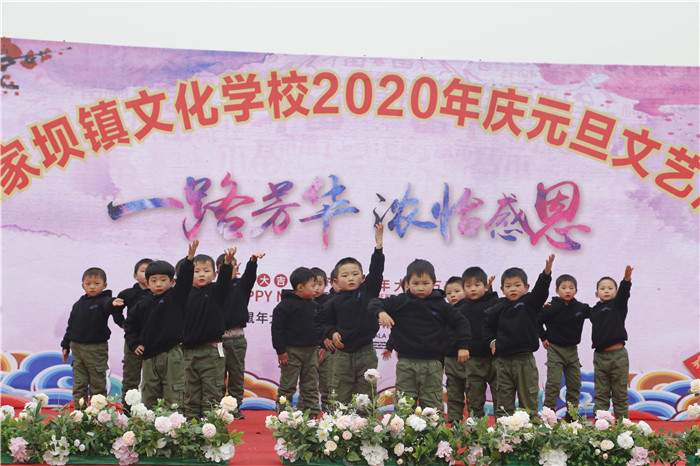 阜阳王家坝文艺汇演在哪里可以看,阜南王家坝公益演出