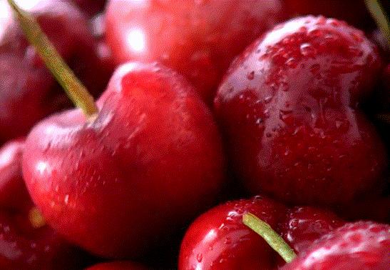 第一届T11“好物营九大爆款”正式出道，请你来打call