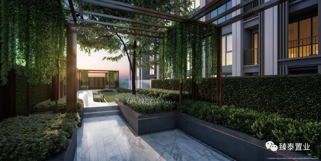 年轻生活！THEORIGIN拉差达性价比之王