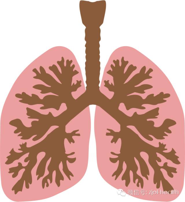 2011年超洁净韩国加湿器,韩国加湿器的作用与危害
