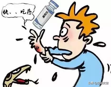 蛇在什么情况下才会主动攻击人,蛇会互相攻击吗