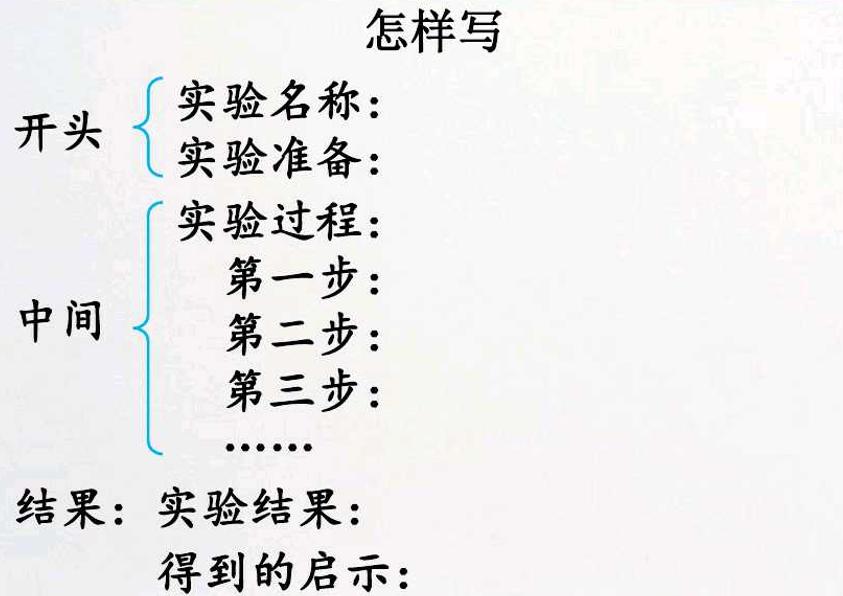 我做了一项小实验习作范文400字,习作我做了一项小实验作文评语