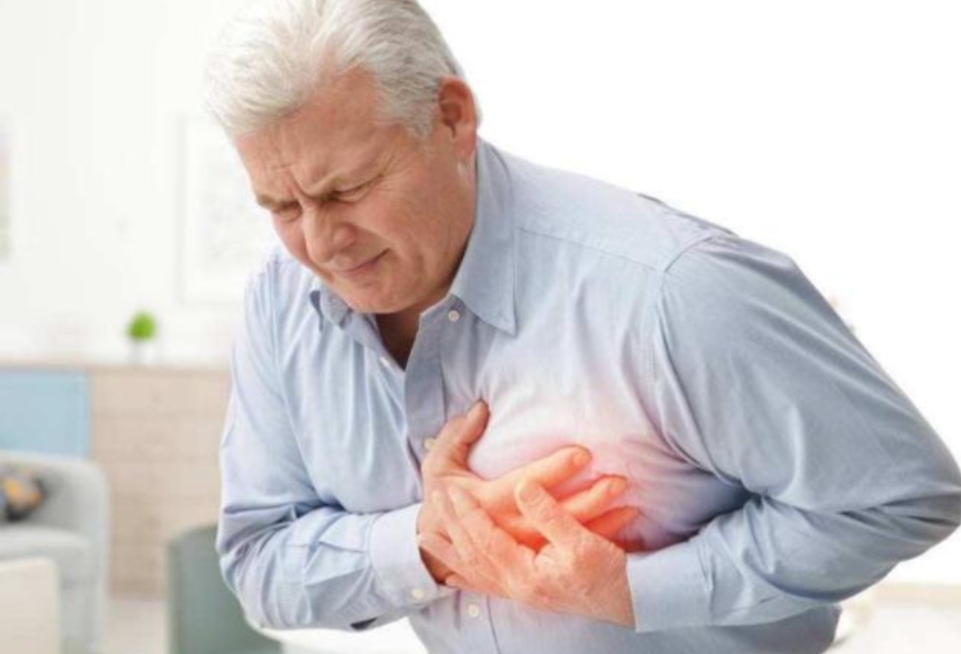 有一只宠物狗好养吗,你认为养什么宠物比较赚钱