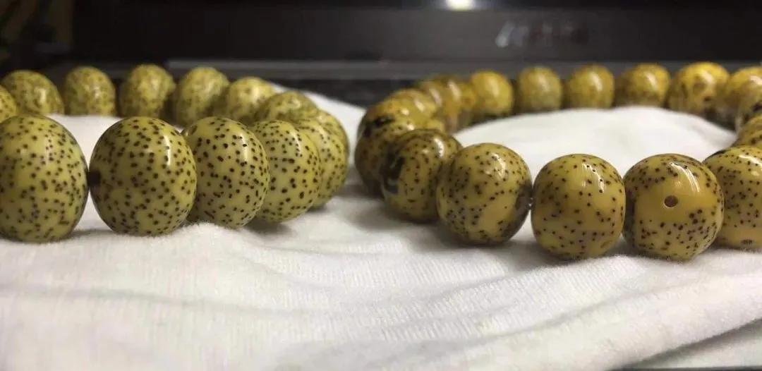 星月菩提阴皮是什么意思,星月菩提的阴皮怎么形成的