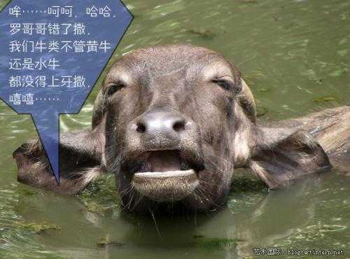 有哪些非常冷门的冷知识,那些非常冷门但实用的冷知识