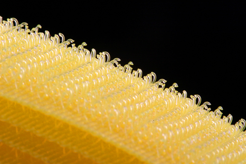 为什么便利贴的胶那么容易撕下来？