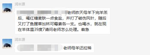 母羊产后小羊羔打什么针,母羊刚产完羔不吃不喝打什么针