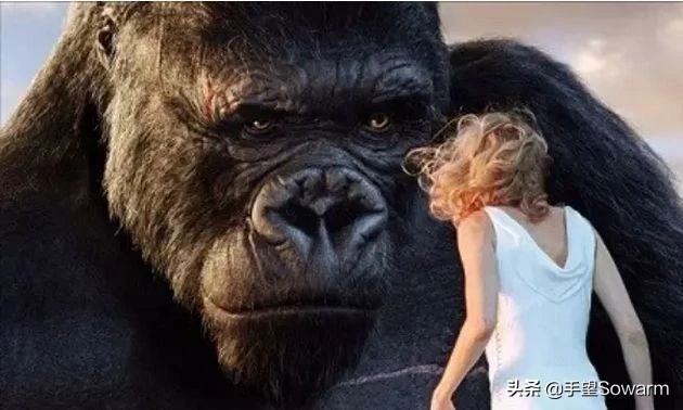 为什么坎普被称为雨人之王,坎普是怎么来的