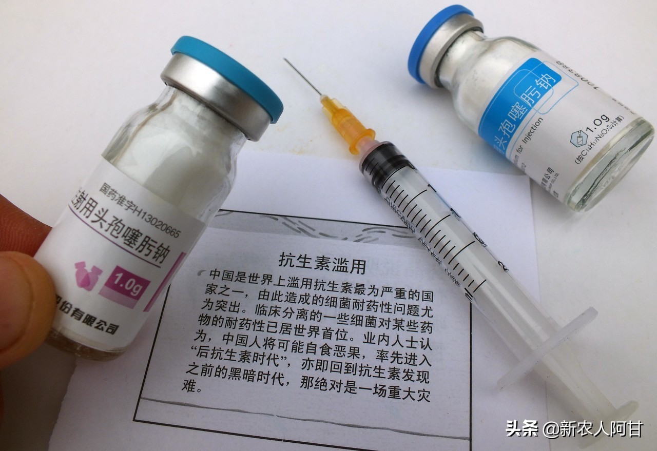 养猪脱肛最好的办法解决,养猪腹泻是什么原因