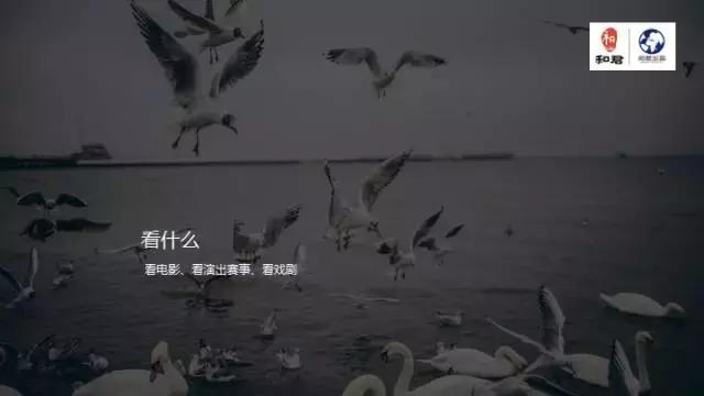 文娱行业地毯扫描：论吃喝玩乐我只服这四个天才！