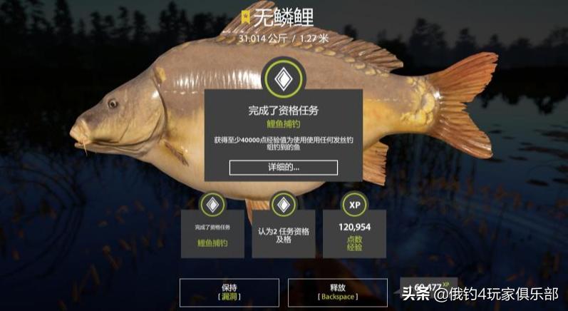 俄罗斯钓鱼4丨18图，碰瓷31K大黑鲩+31K无磷鲤