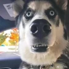 一学就会的魔方口诀,易学一学就会