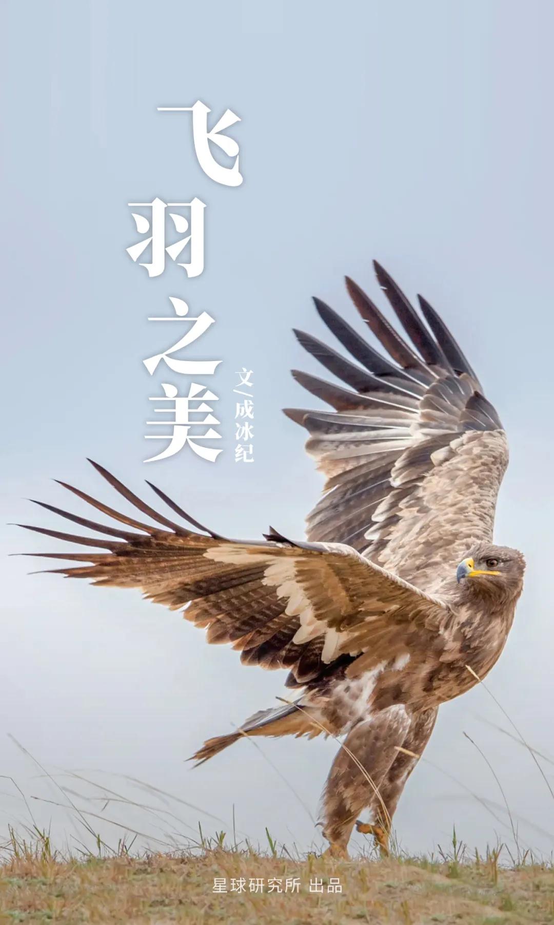 林草领域知识图谱,林草科普专业术语