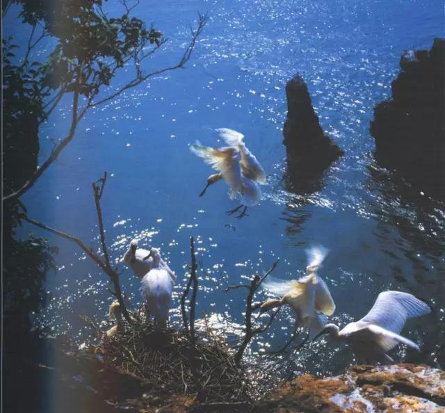 辽宁旅游景点推荐3天自由行,辽宁学生旅游景点推荐