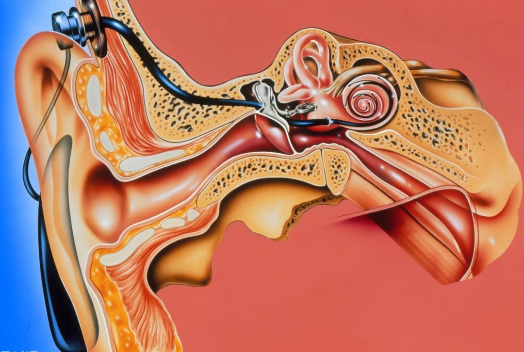 老年人耳朵听力下降有法改善吗,老年人突然听力下降怎么回事