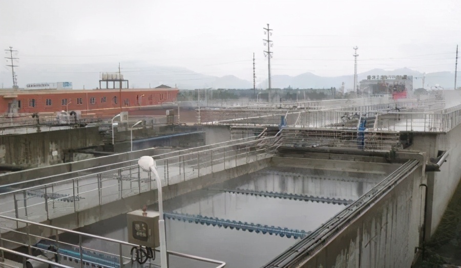 花1亿给员工包车，20年没人离职！他跟996对着干，却年赚230亿