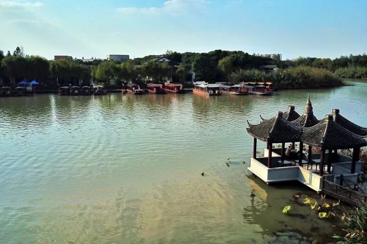 游走在沙家浜湿地公园,沙家浜风景区湿地渔乐园