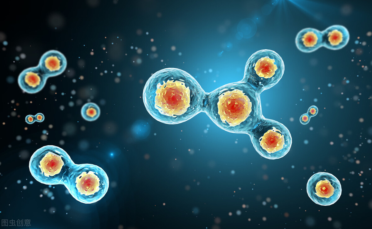 微循环不通万病之源,微循环调理刻不容缓