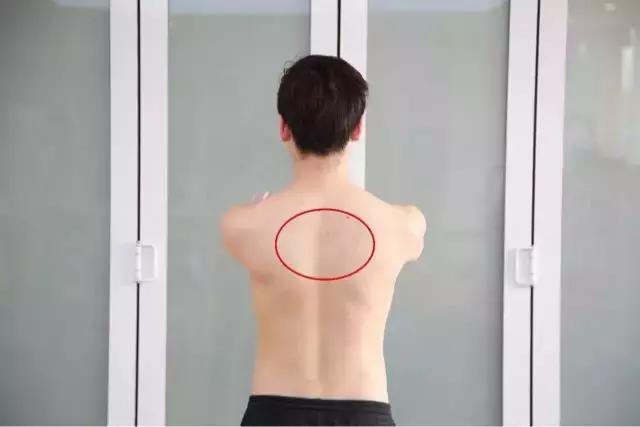 健身美背的方法,新手健身怎么练美背