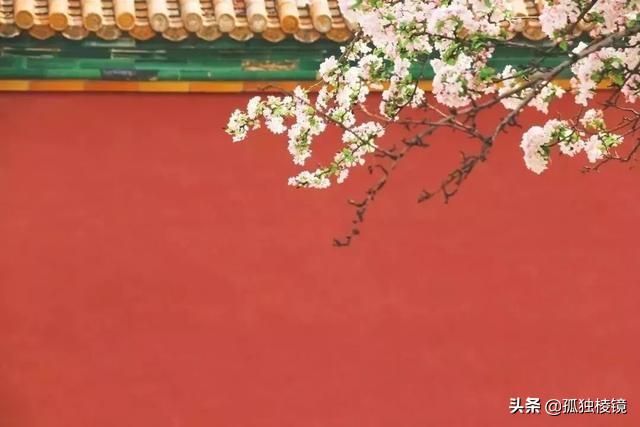 三分构图法与九宫格构图区别,拍摄构图如何精准构图手把手教你