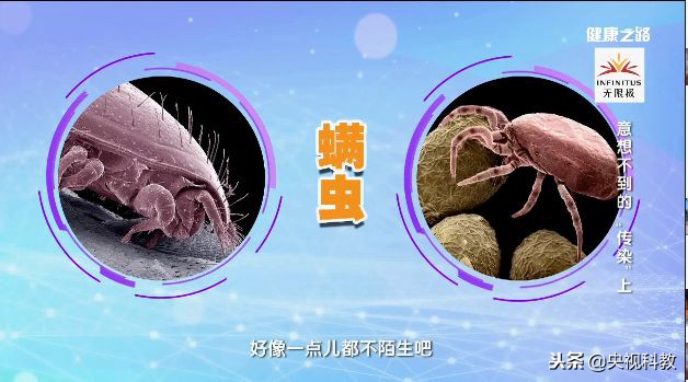 拯救酒糟鼻、脚气、灰指甲、疥疮，最简单便宜的方法！