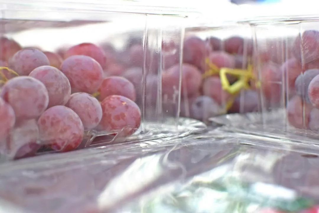 山姆新店活动码,山姆会员店宝藏单品