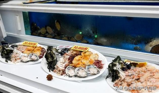 中房社带你去看真实的济州岛，和你的预期可能不太一样