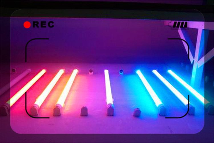 现在有适合农村创业的加工项目吗,适合家庭工厂创业项目有哪些