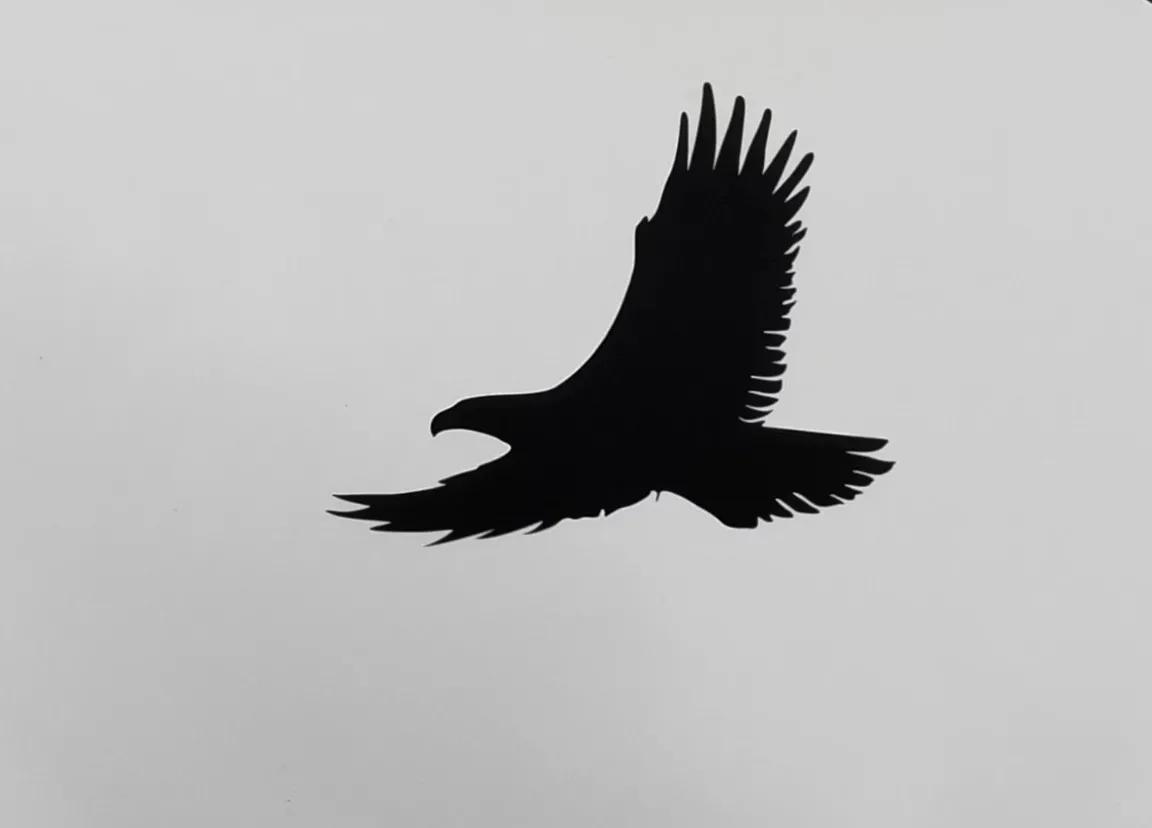 第一次出国就去荷兰,去荷兰怎么去最方便