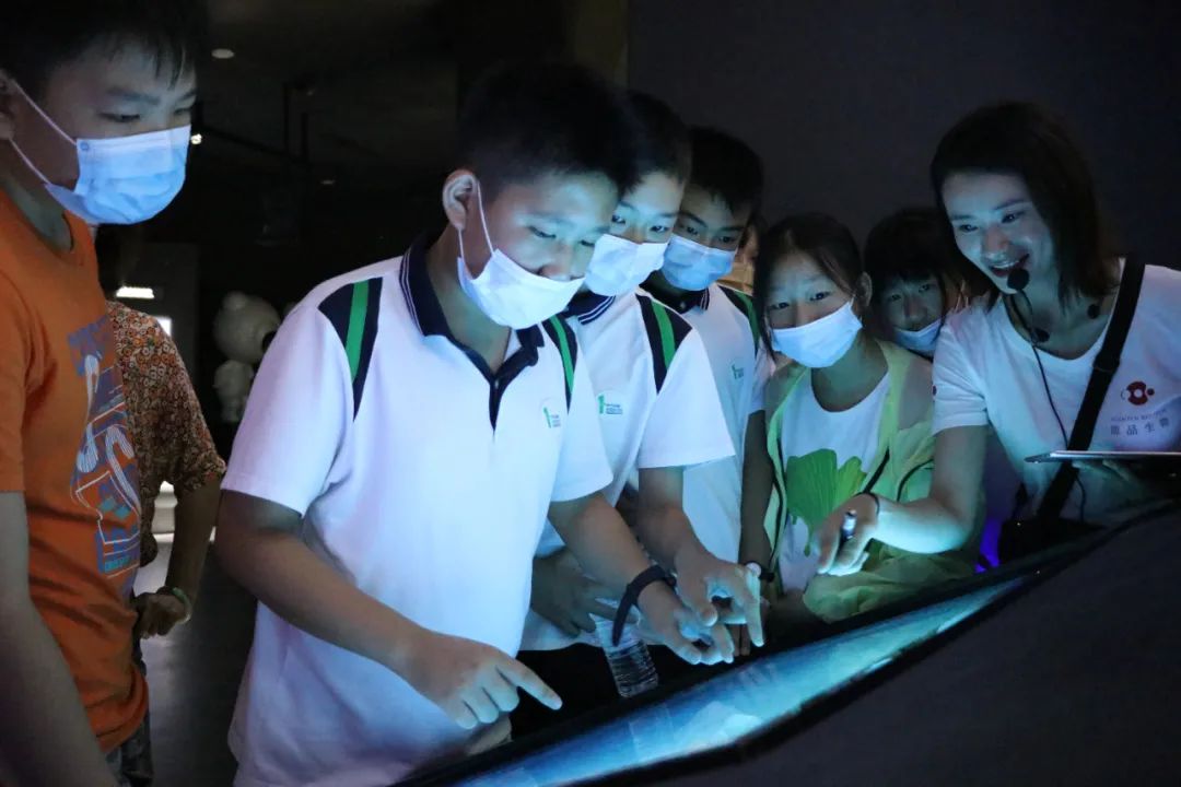 青竹湖湘一外国语学校一校两址,青竹湖湘一外国语学校分校