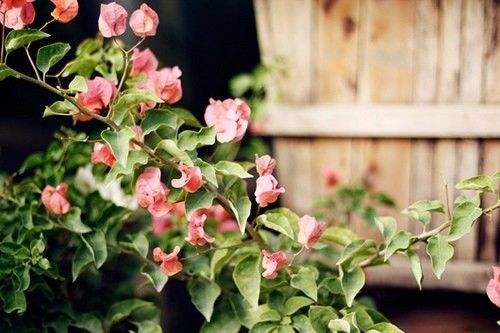 适合发朋友圈的爱情说说，句句简短走心！