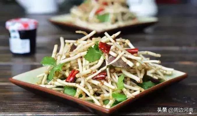 春季野菜大全这些野菜可以吃,春季能吃六种野菜讲解