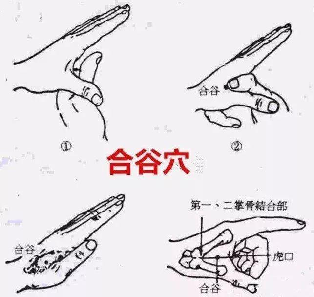 猫得了抑郁症，如何治疗？