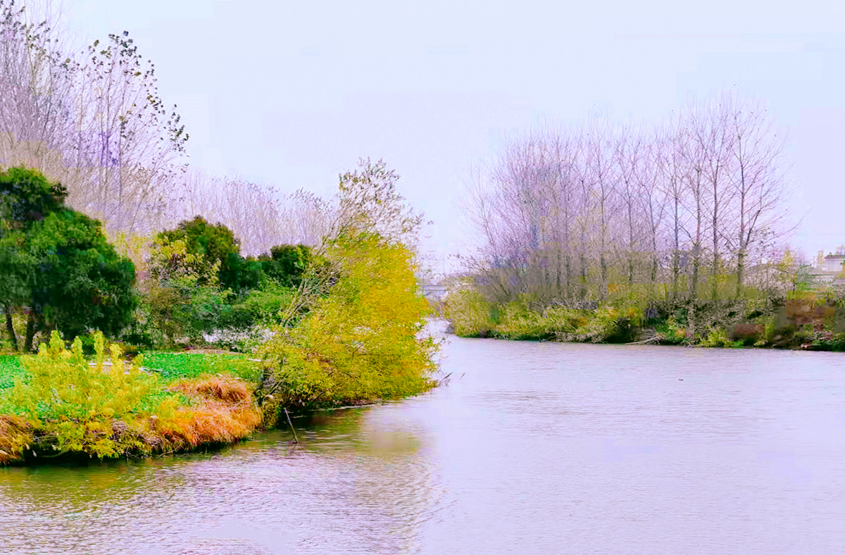 设置图片大小有几种办法,ppt所有图片如何设置统一大小