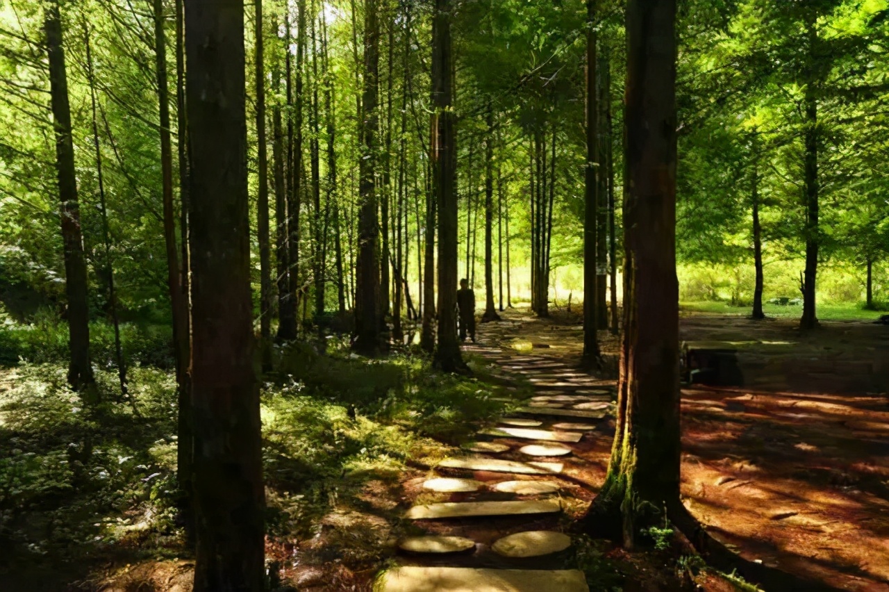 石柱黄水避暑景点,避暑胜地黄水