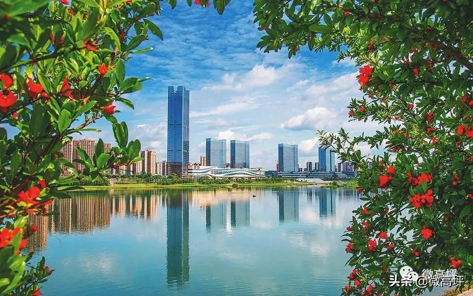 高坪区临江新区,高坪临江新区