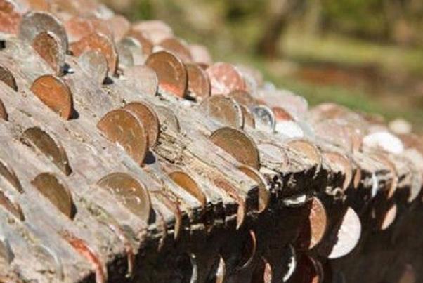 真实的摇钱树,现实版的摇钱树却无一人敢拿