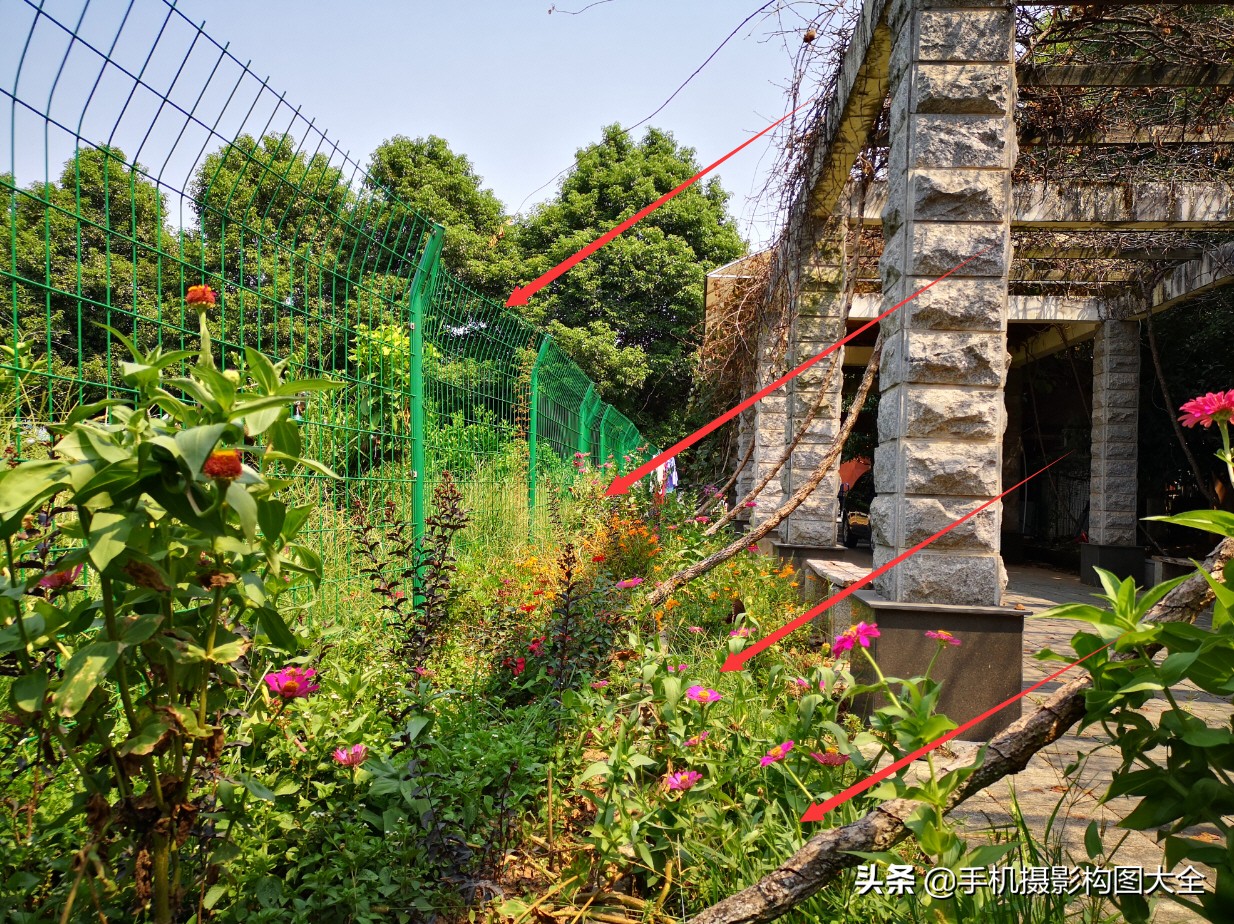 拍蝴蝶最大收获,拍蝴蝶技巧
