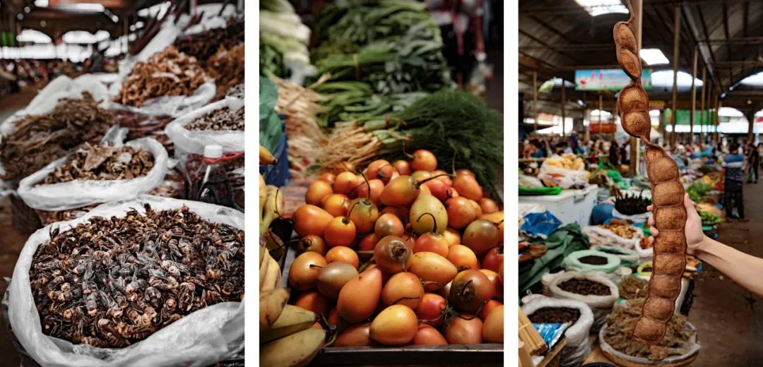 云南旅游最便宜的机票,云南旅游机票最便宜的时候