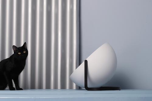 猫最好用什么猫窝,各种猫窝的视频大全