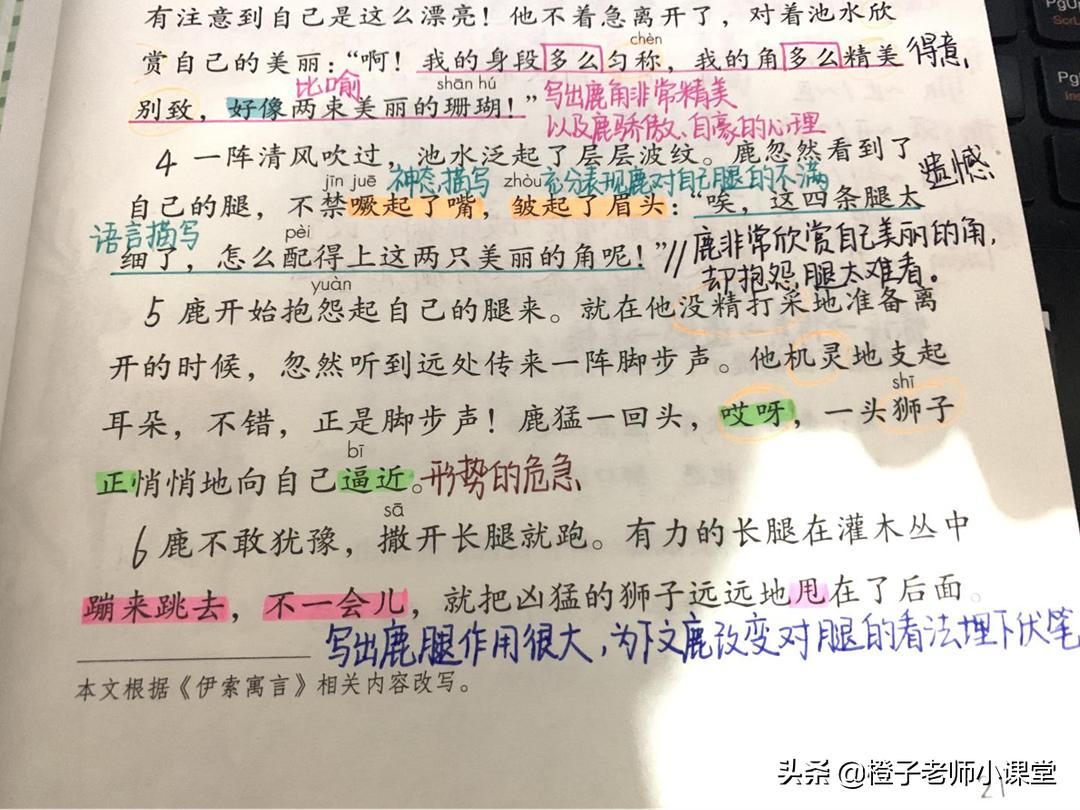 三年级下册语文鹿角和鹿腿的启示,三年级下册鹿角和鹿腿感悟