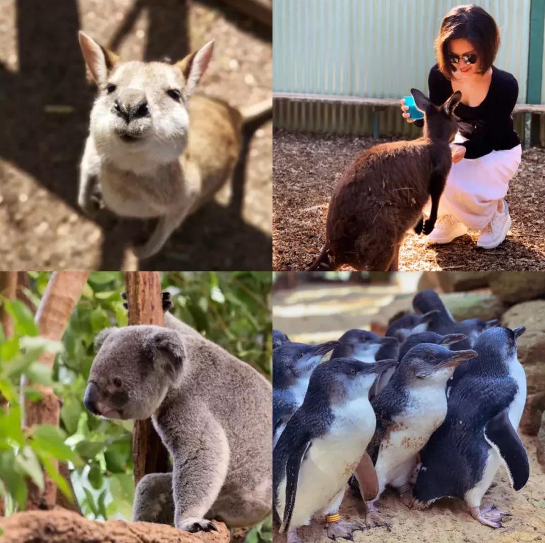 出发西安攻略,悉尼旅游攻略五日游