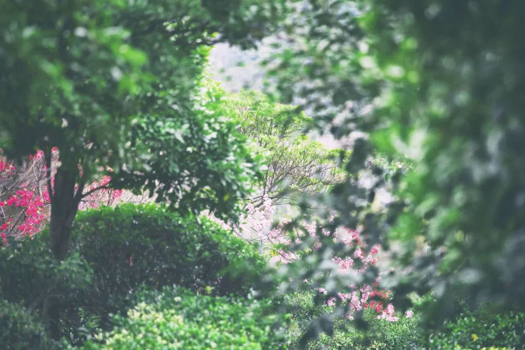 舟山市海洋名城,舟山蓝色海湾