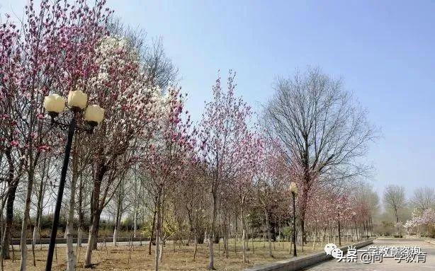 山东协和学院电话,山东协和学院几本