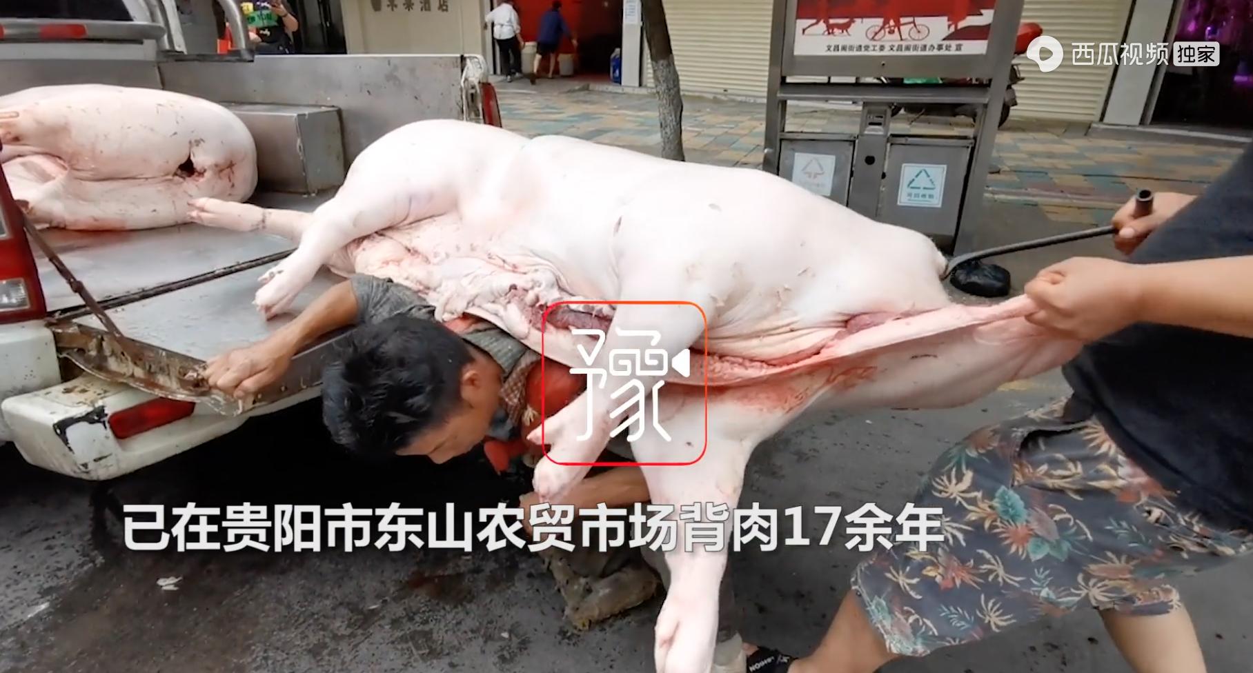 如何做父母才不会养个白眼狼,父母怎样培养白眼狼