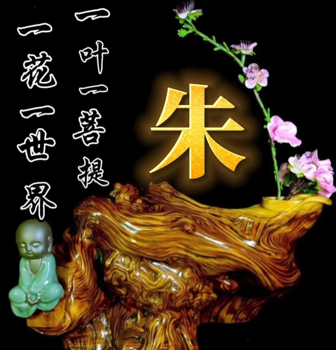 一花一世界一叶一菩提头像,一叶一菩提禅意微信头像